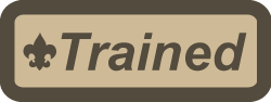trained patch